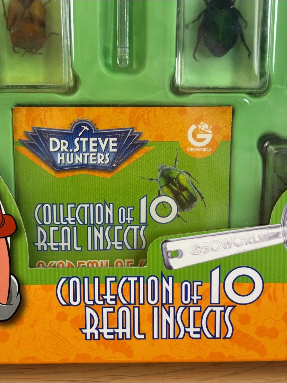 Dr. Steve Hunters Bug's World Collection - Entomology Set NEW!